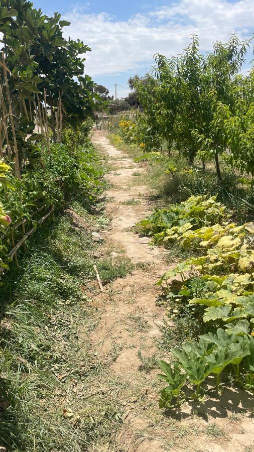 Hotel Agafay, La Ferme Nomade Bivouac El Karia Esterno foto