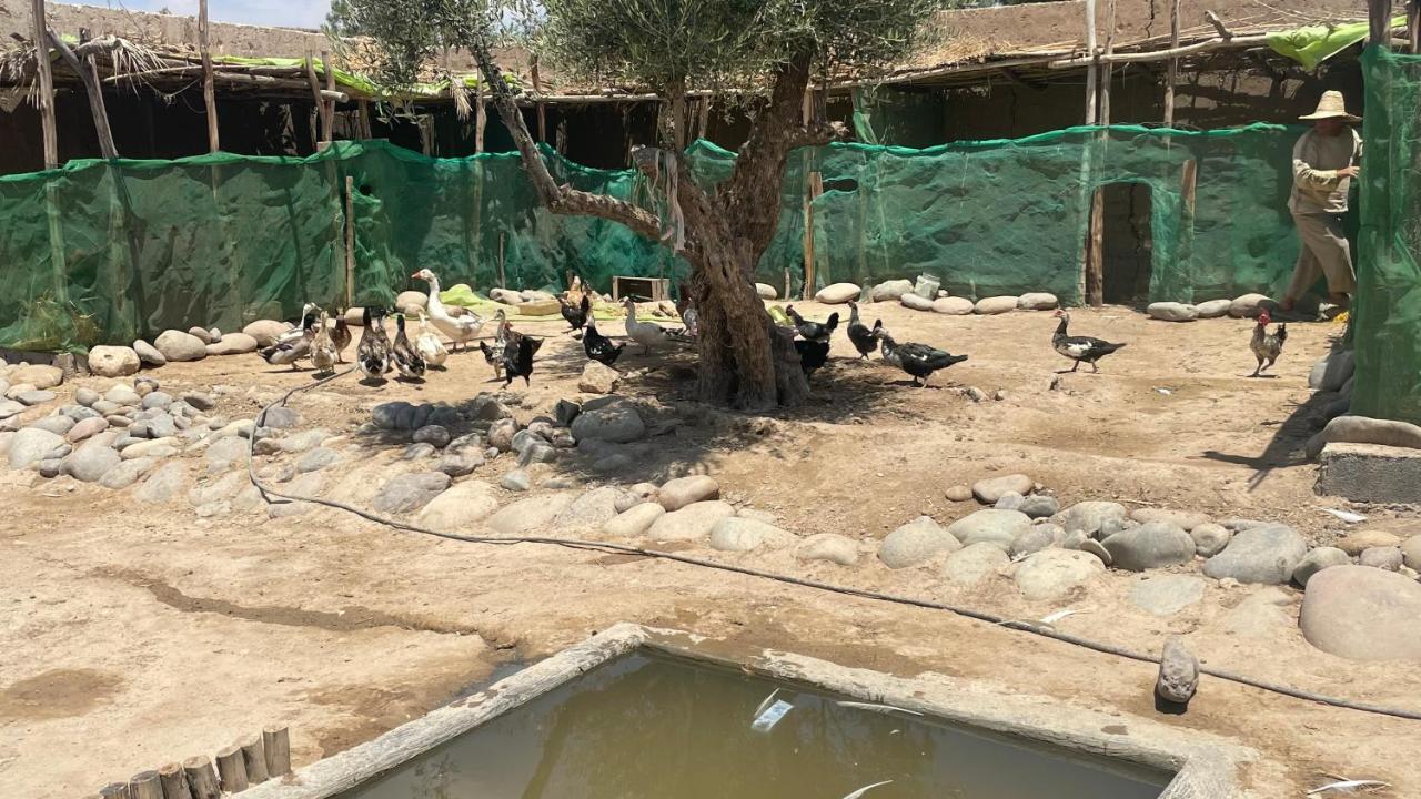 Hotel Agafay, La Ferme Nomade Bivouac El Karia Esterno foto